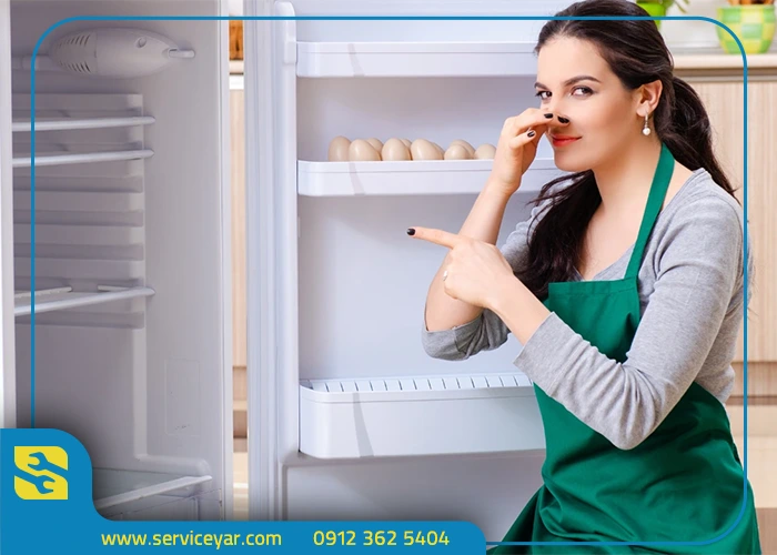 پیشگیری از بوی بد یخچال