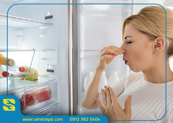 رفع بوی بد یخچال