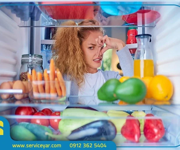 آموزش رفع بوی بد یخچال در خانه | بهترین روش‌های طبیعی و فوری