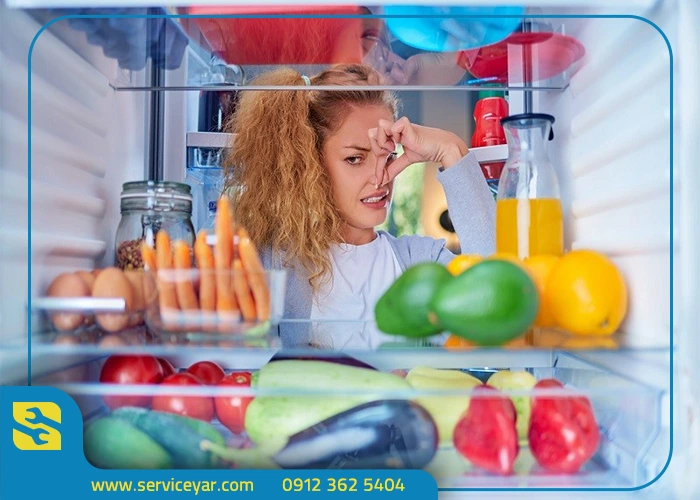 آموزش رفع بوی بد یخچال در خانه | بهترین روشهای طبیعی و فوری
