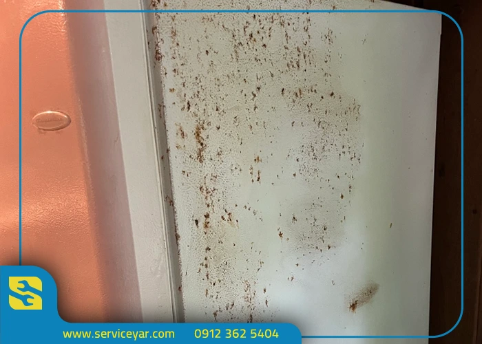 علائم پوسیدگی درب یخچال (حتماً چک کنید!)