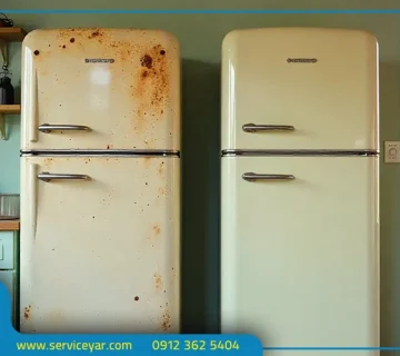 پوسیدگی درب یخچال