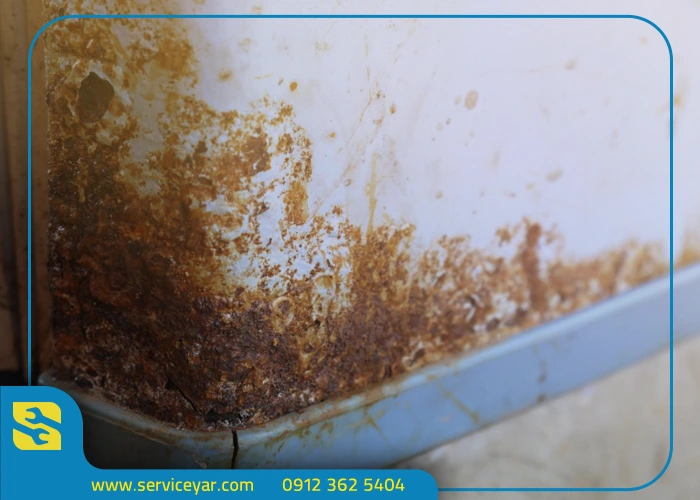 علت پوسیدگی درب یخچال چیست؟