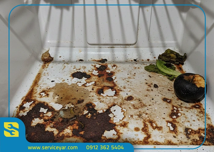 مراحل تعمیر پوسیدگی کف یخچال