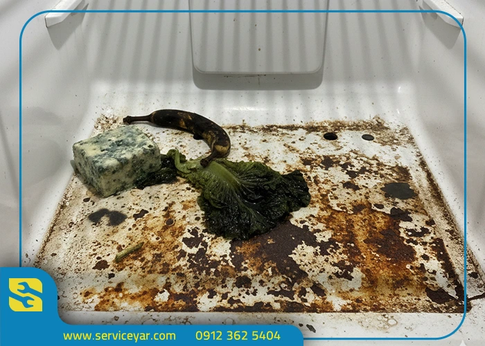 چه زمانی باید تعمیر را به متخصص بسپاریم؟