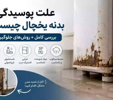 علت پوسیدگی بدنه یخچال